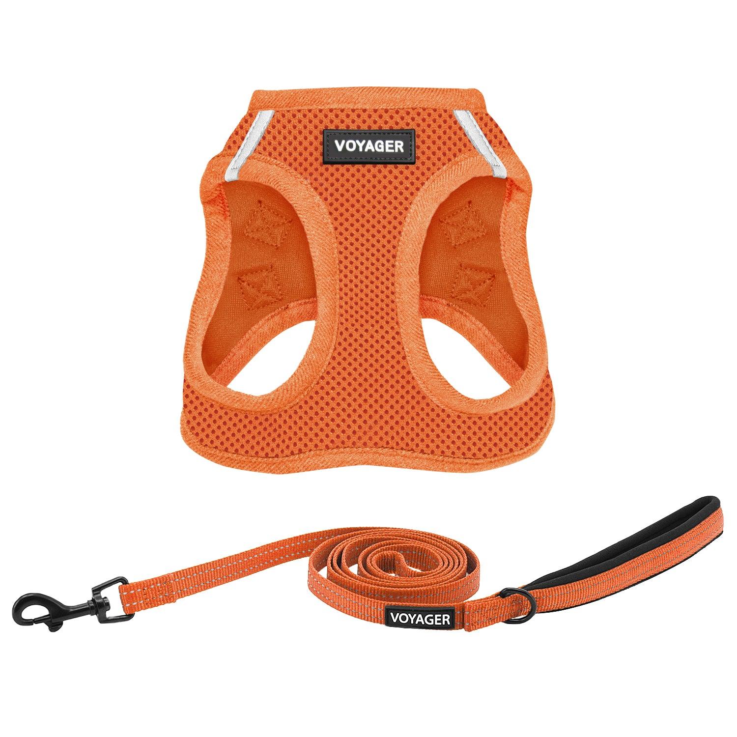 voyager-step-in-air-harness-leash-set-with-matching-trim-breathable-summer-mesh image 7