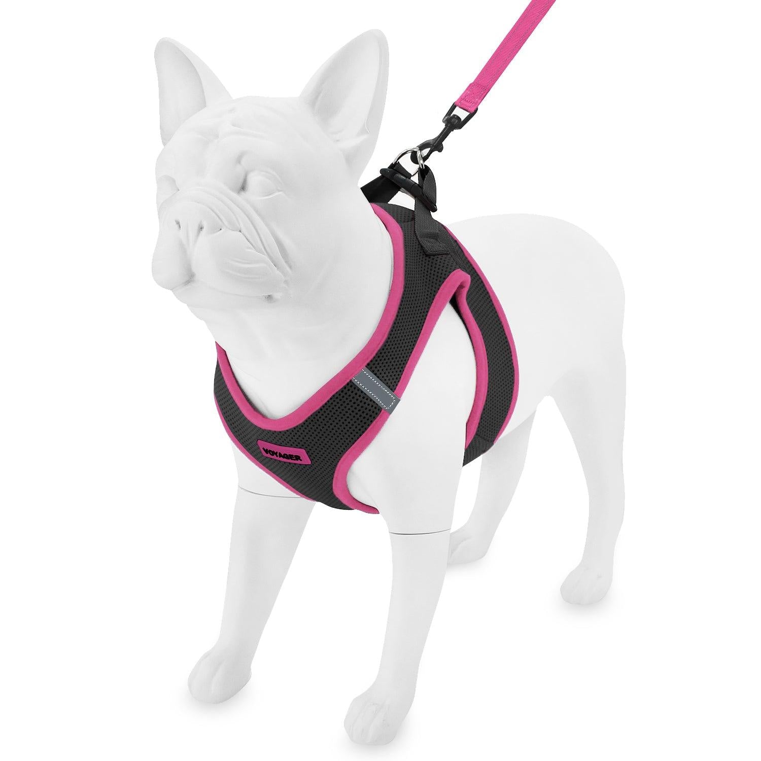 voyager-step-in-air-mesh-harness-leash-set image 5
