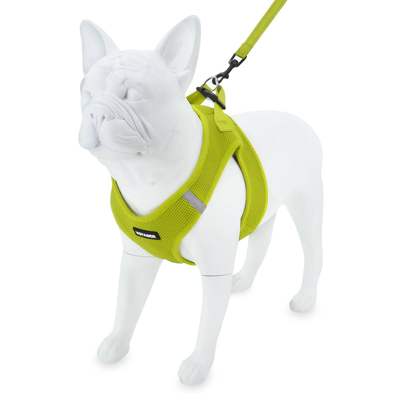 voyager-step-in-air-harness-leash-set-with-matching-trim-breathable-summer-mesh image 5
