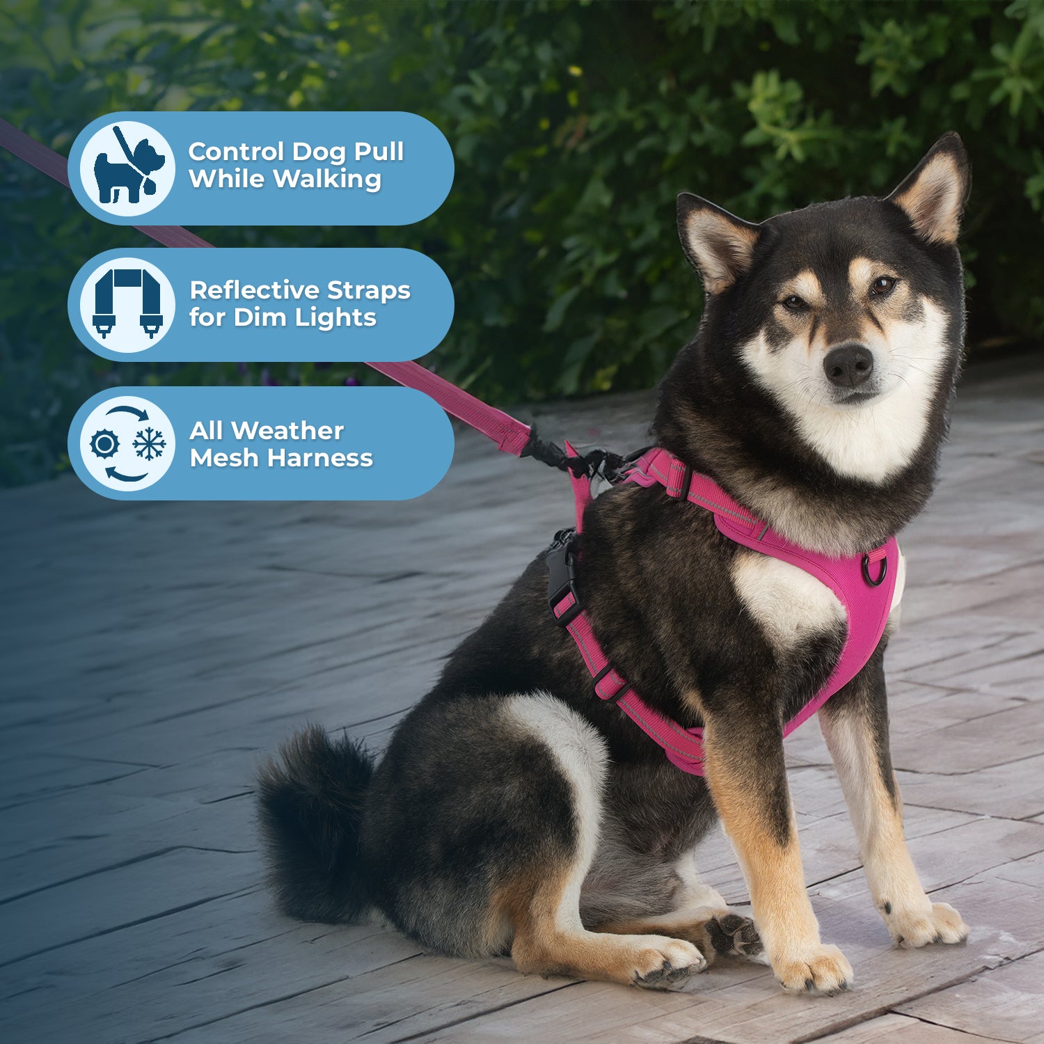 voyager-dual-attachment-dog-harness-no-pull-with-front-and-back-clips image 5