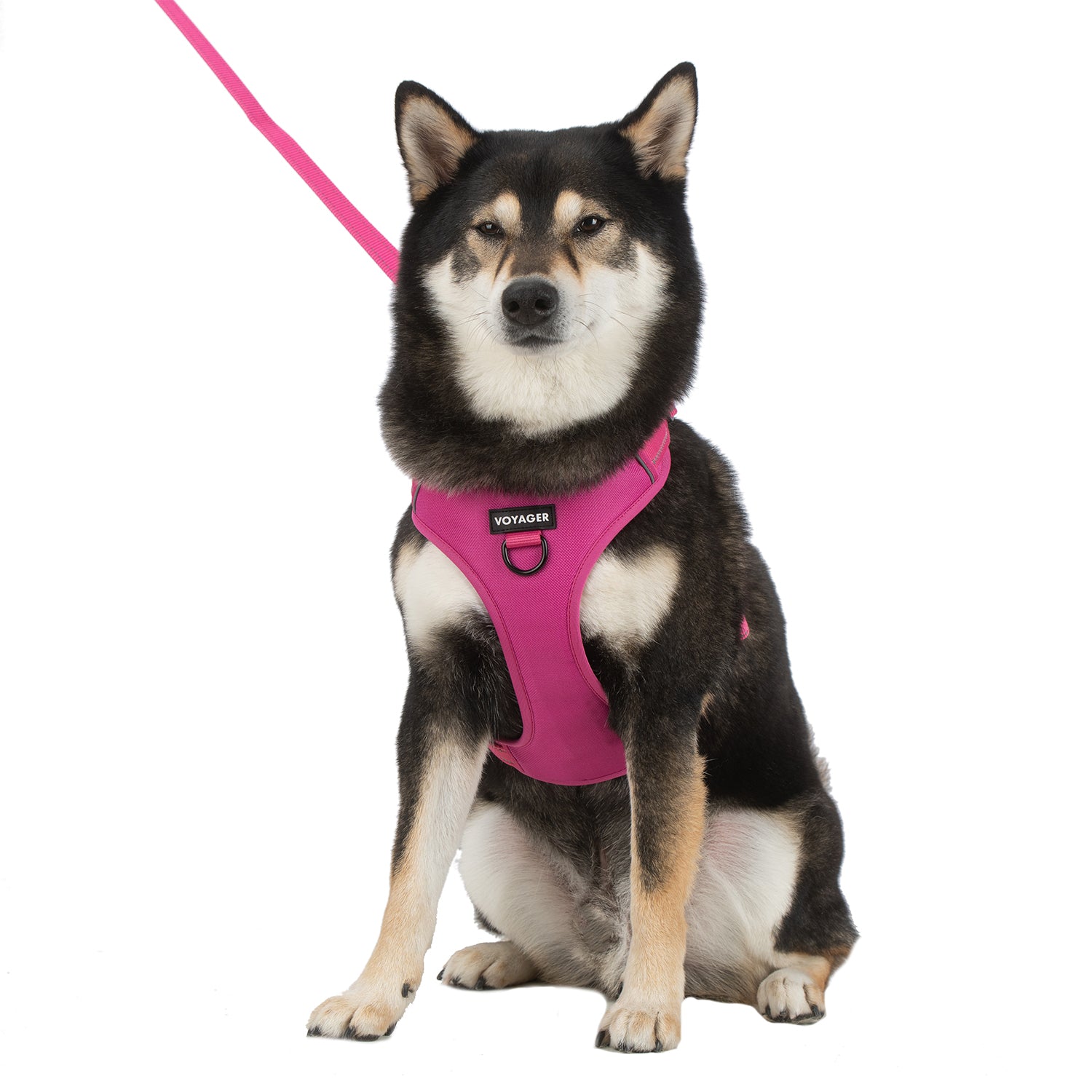 voyager-dual-attachment-dog-harness-no-pull-with-front-and-back-clips image 7