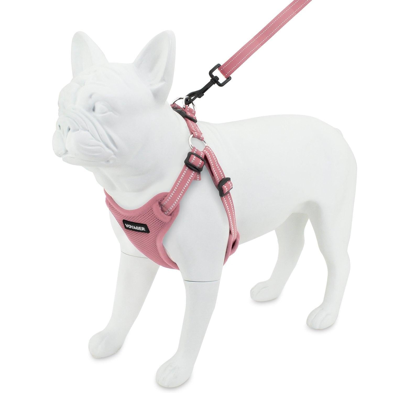 voyager-step-in-flex-harness-leash-set-with-air-mesh-adjustable-reflective-5-lea image 5