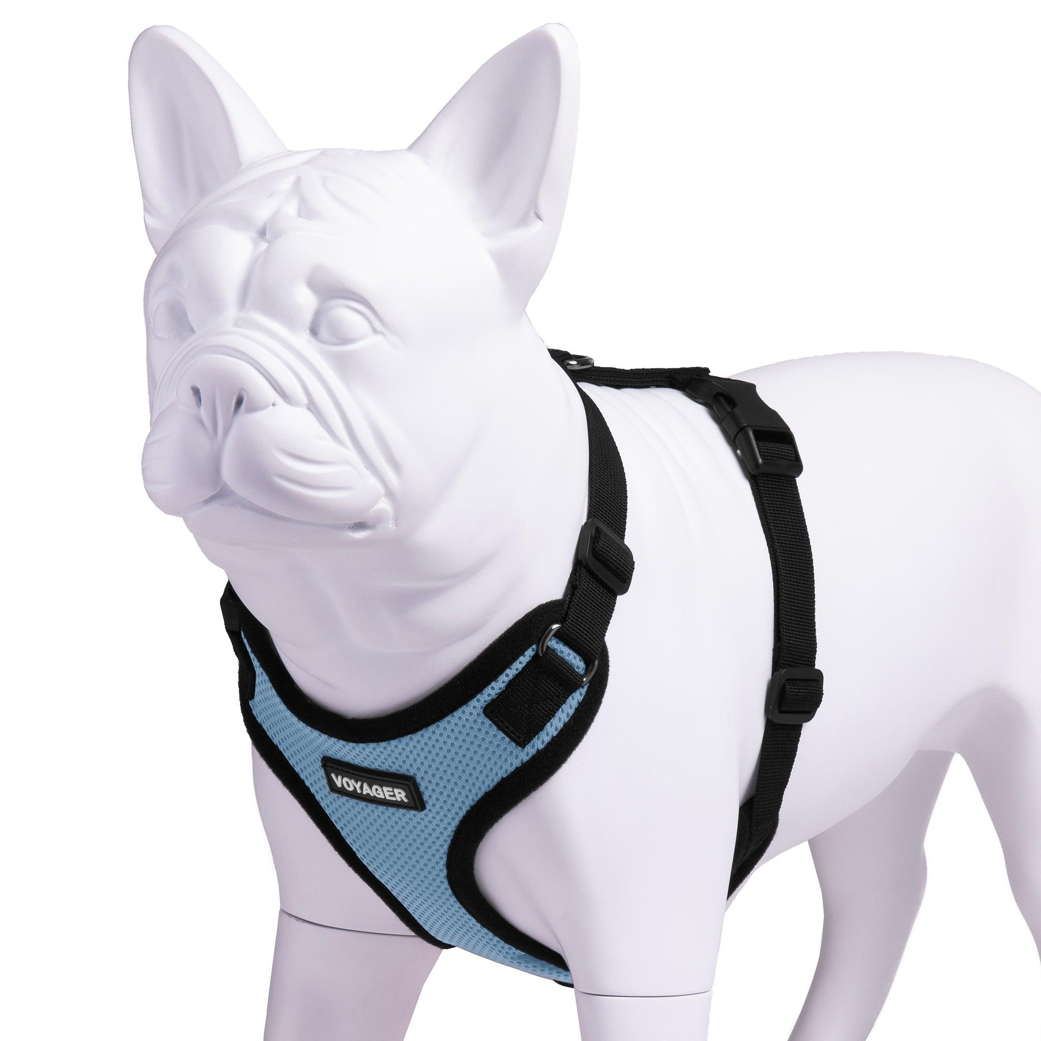 voyager-step-in-lock-pet-harness image 7