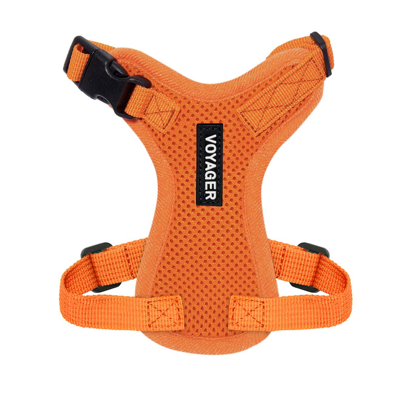 voyager-step-in-lock-cat-small-dog-harness image 7