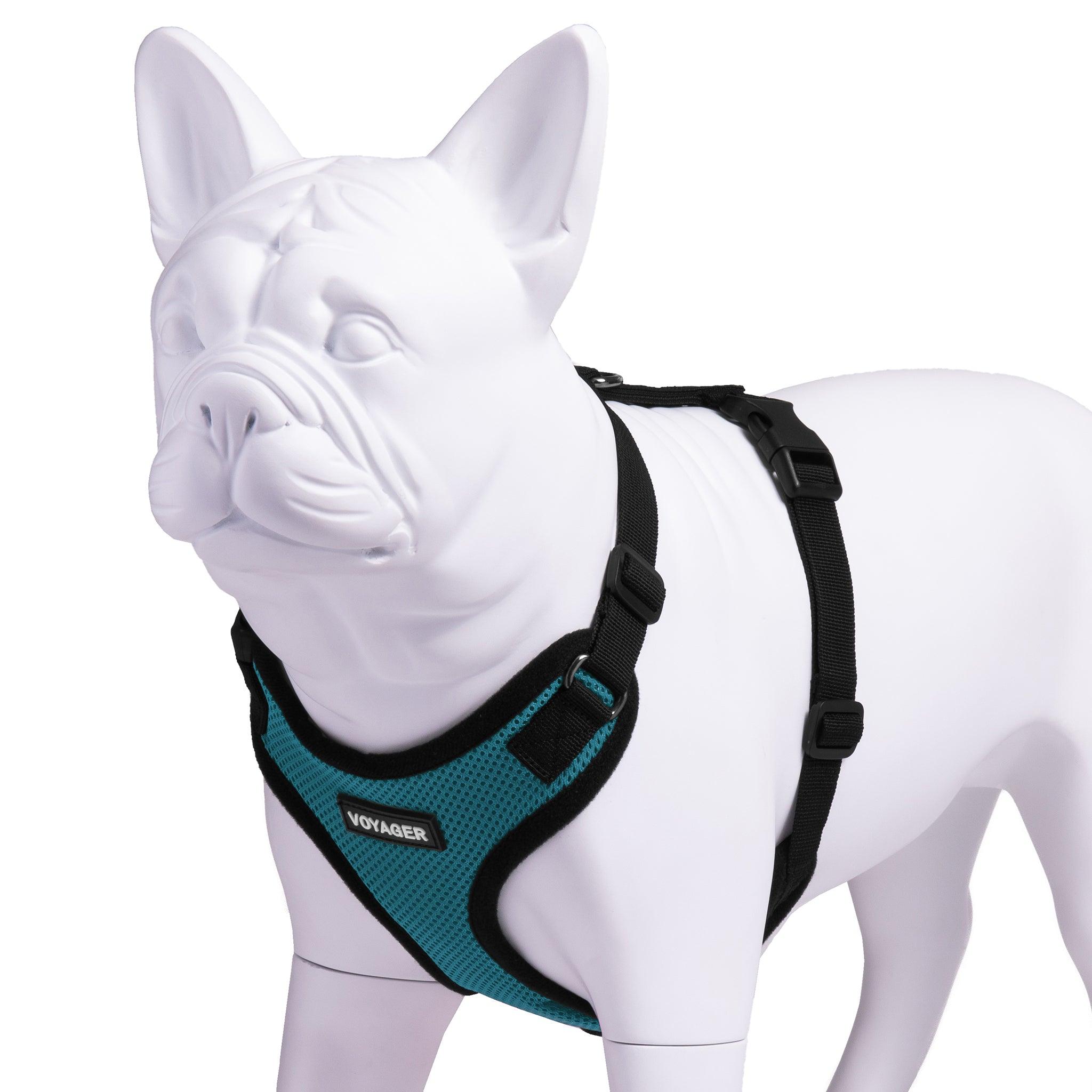 voyager-step-in-lock-pet-harness image 4