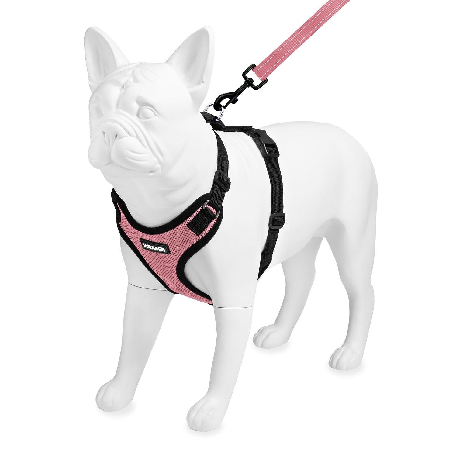 voyager-step-in-lock-harness-leash-set image 5