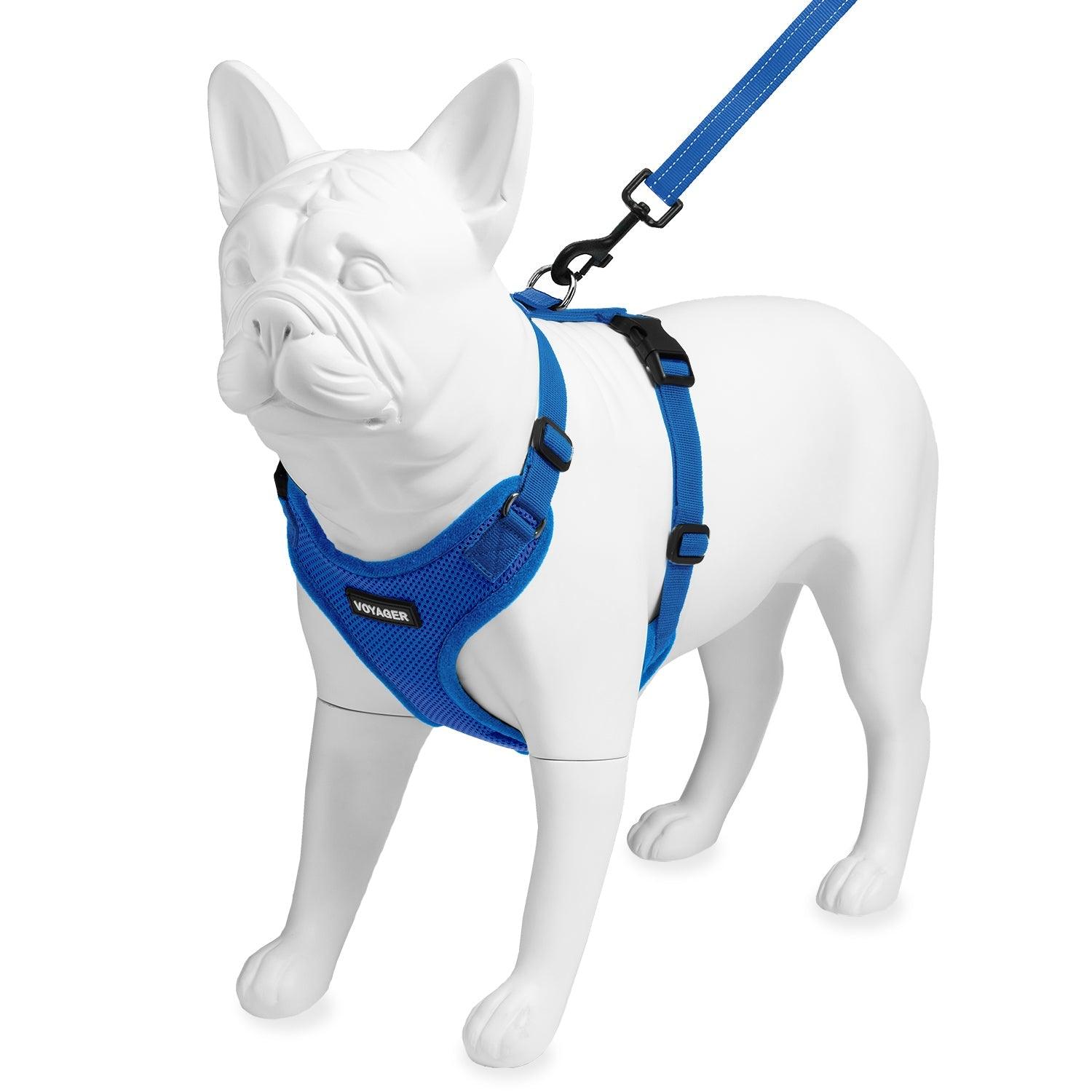 voyager-step-in-lock-harness-leash-combo-for-dogs-adjustable-comfortable-secure image 5