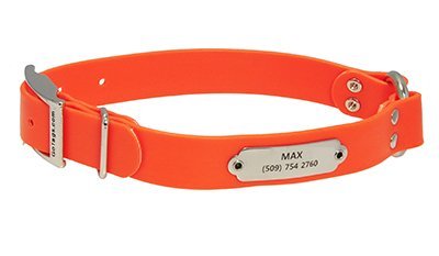 gotags-waterproof-hunting-dog-collar-with-nameplate-biothane-neon image 8