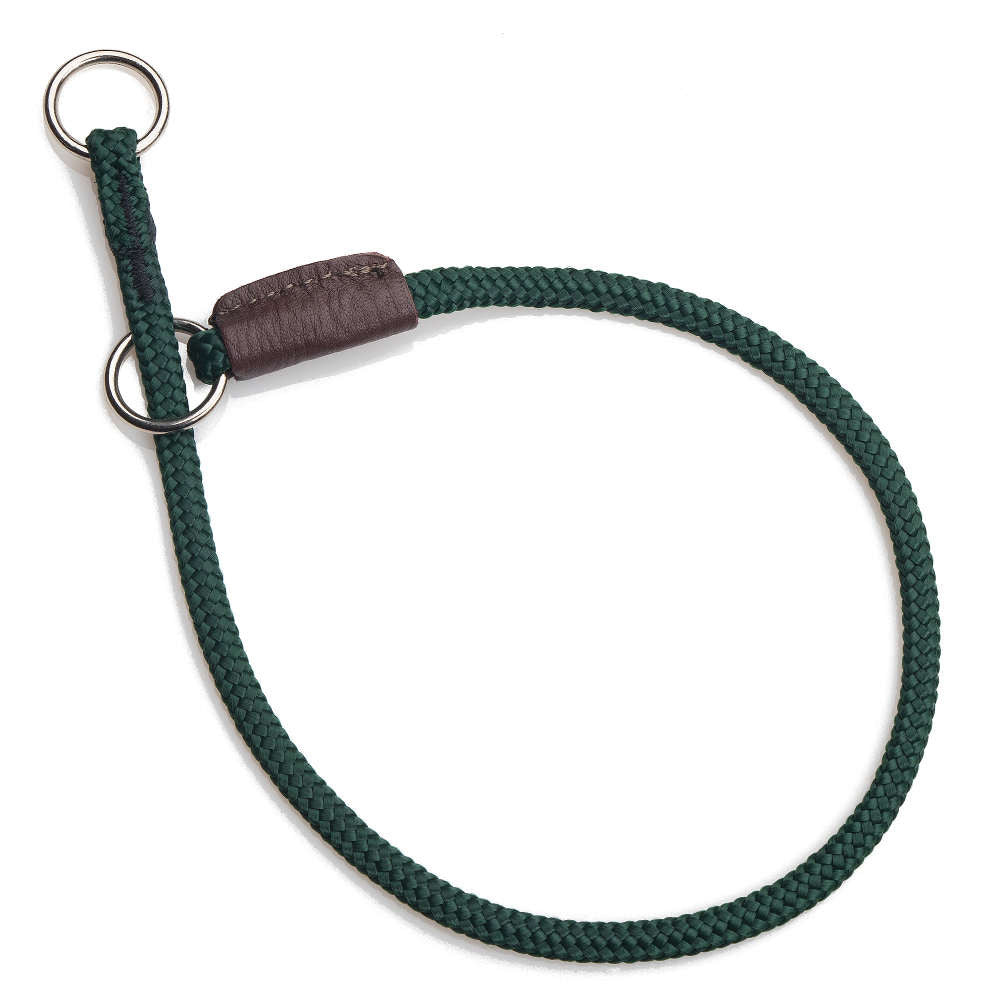 mendota-pet-show-slip-collar-1-8-diamond-braid-polypropylene image 5