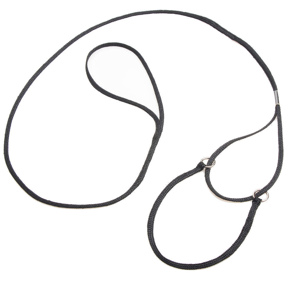 mendota-pet-petite-martingale-lead-nylon-48-training-leash-collar-combo image 2