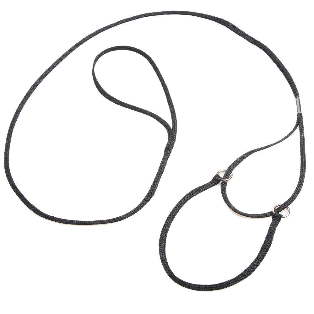 mendota-pet-petite-martingale-lead-nylon-48-training-leash-collar-combo image 3