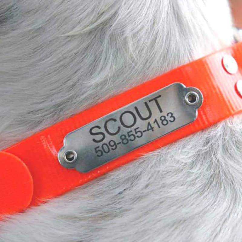 gotags-waterproof-hunting-dog-collar-with-nameplate-biothane-neon image 4
