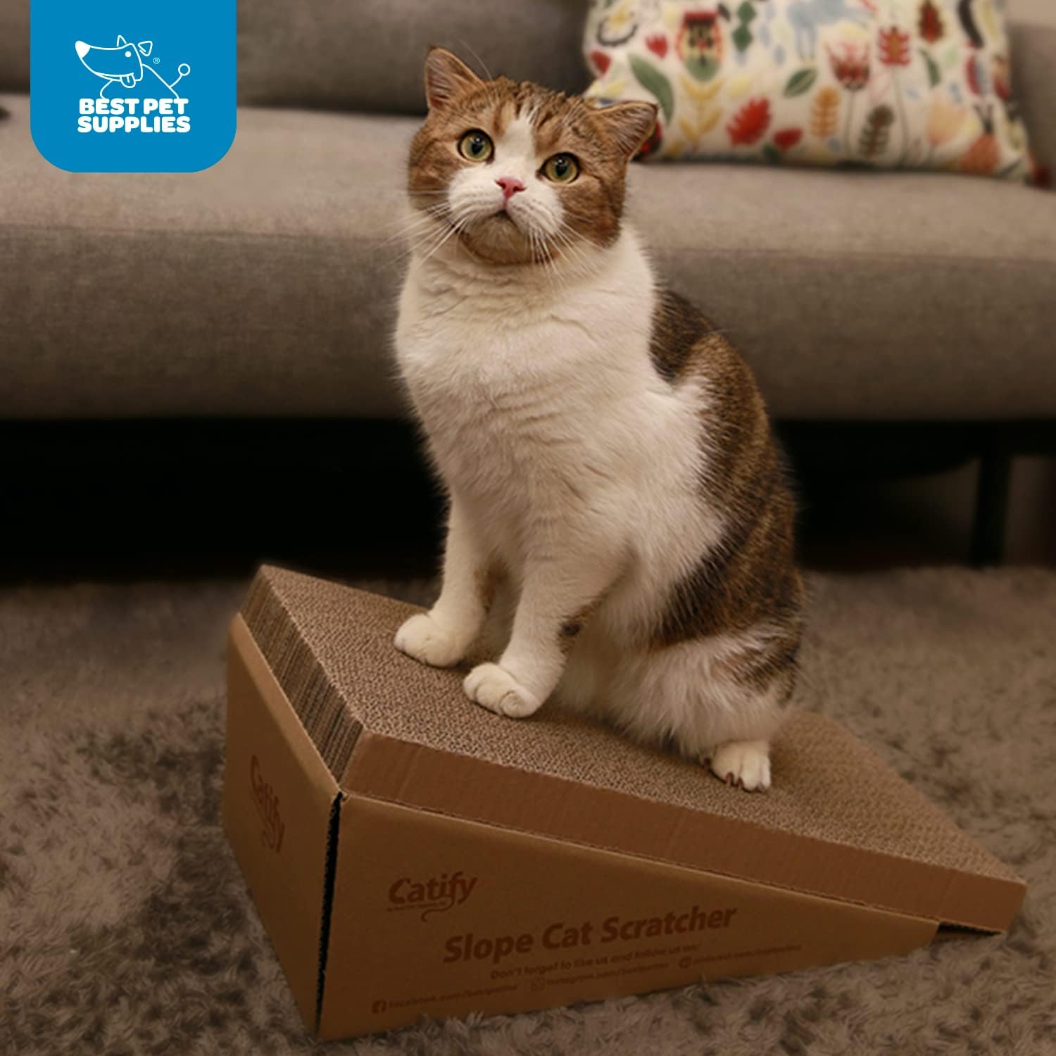 voyager-catify-slope-cat-scratcher-2-pack image 3