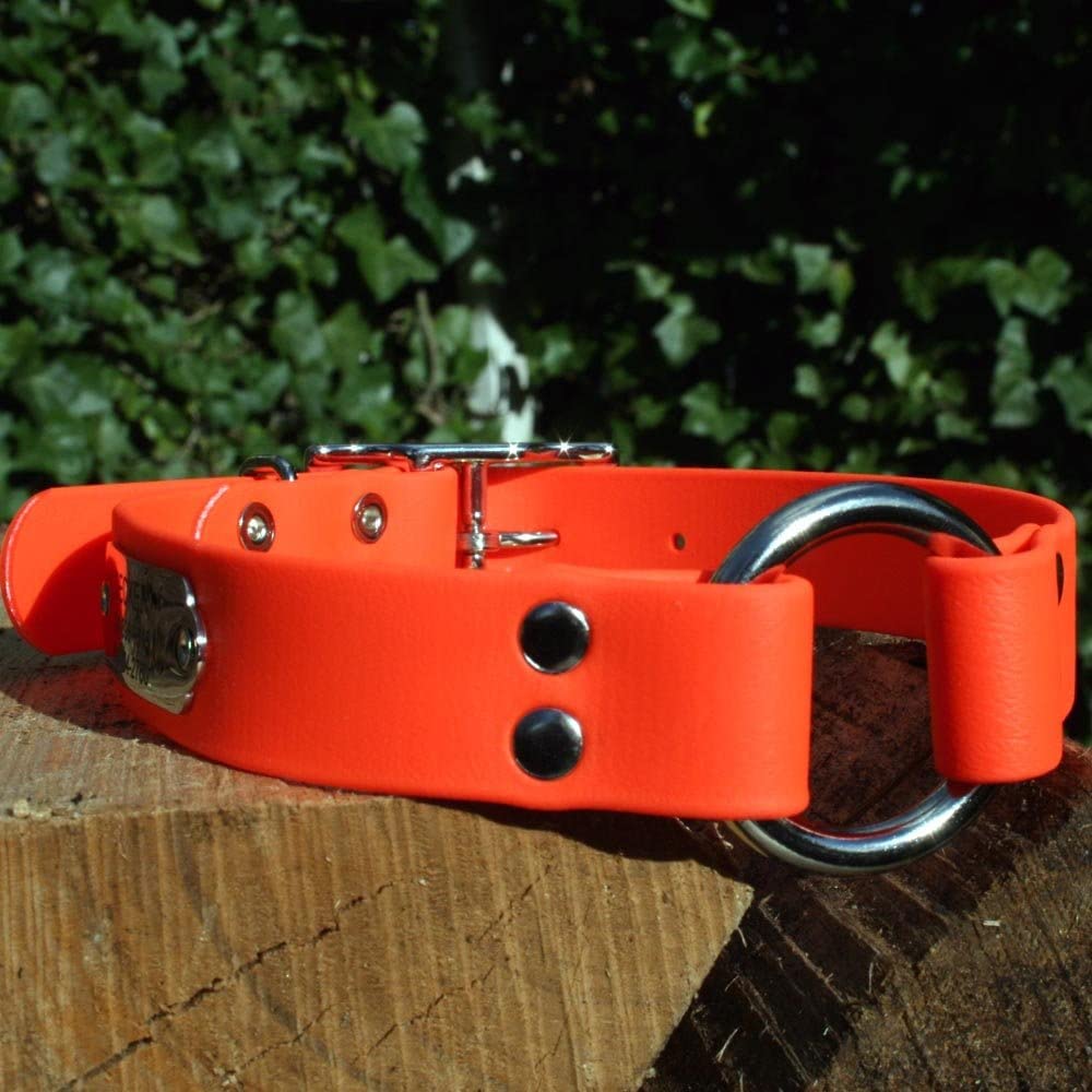 gotags-waterproof-hunting-dog-collar-with-nameplate-biothane-neon image 6