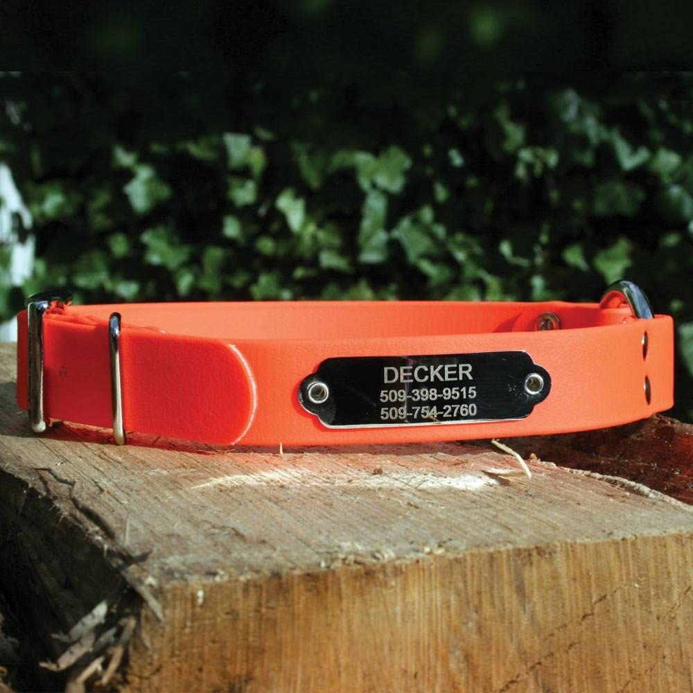 gotags-waterproof-hunting-dog-collar-with-nameplate-biothane-neon image 5