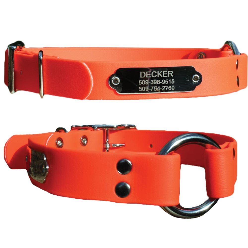 gotags-waterproof-hunting-dog-collar-with-nameplate-biothane-neon image 2