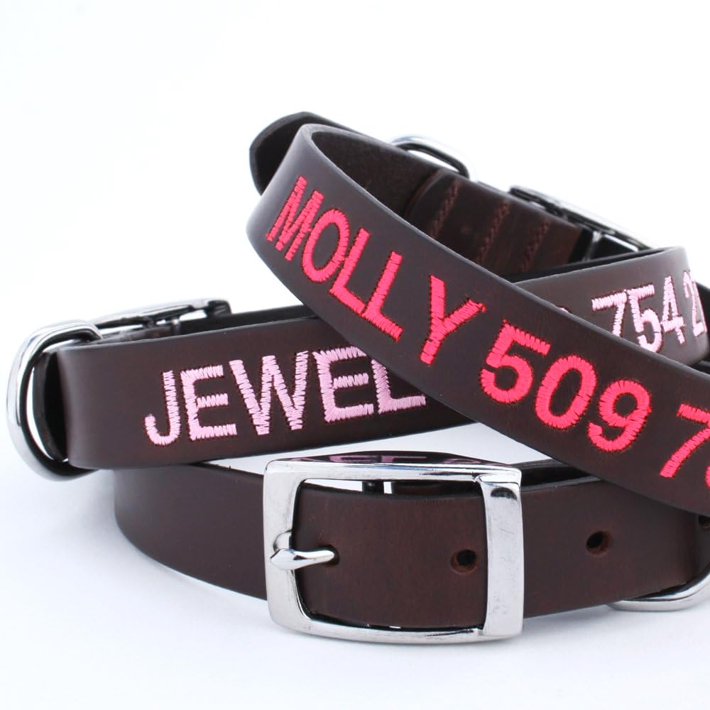 gotags-embroidered-leather-dog-collar-with-name-and-phone-number image 4
