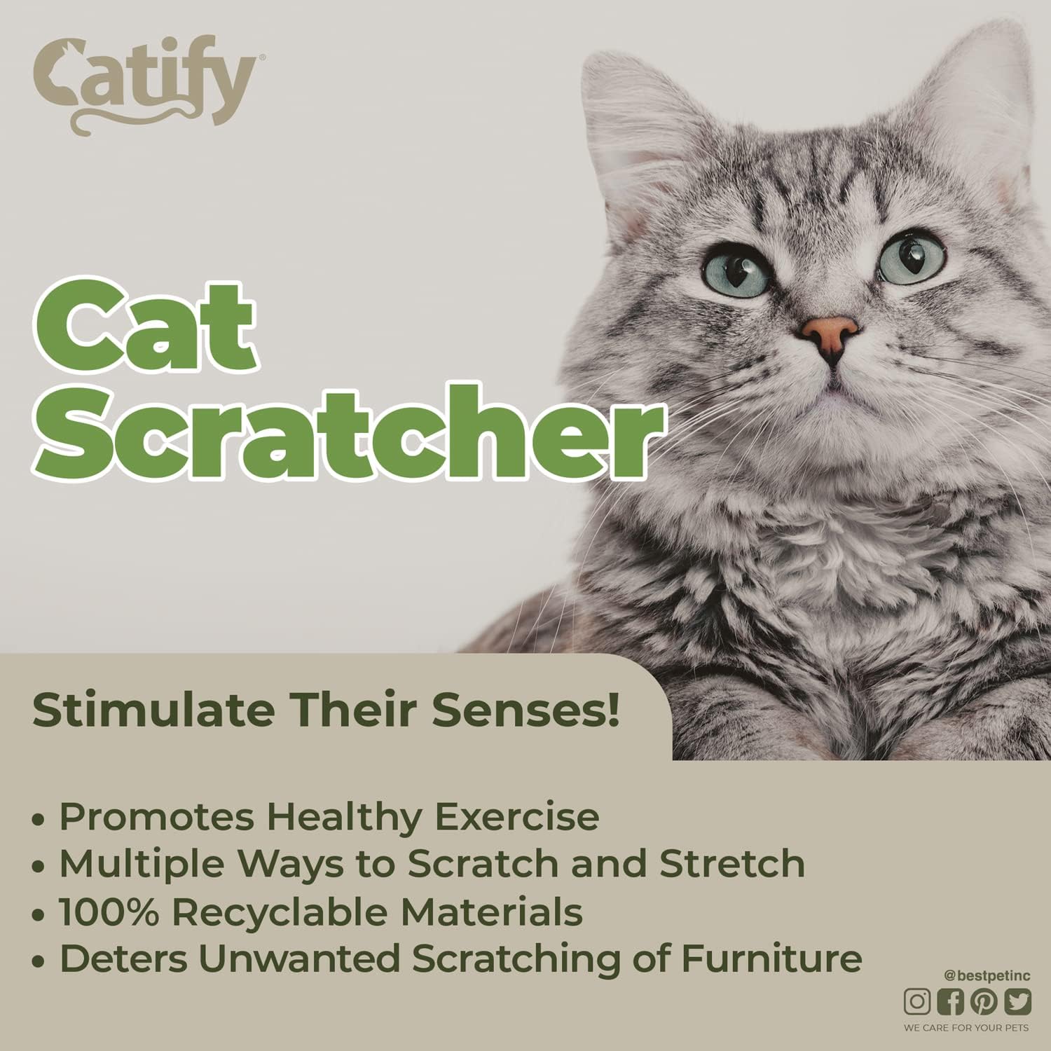 voyager-catify-cat-scratcher-lounge-with-built-in-toy-corrugated-cardboard-loung image 3