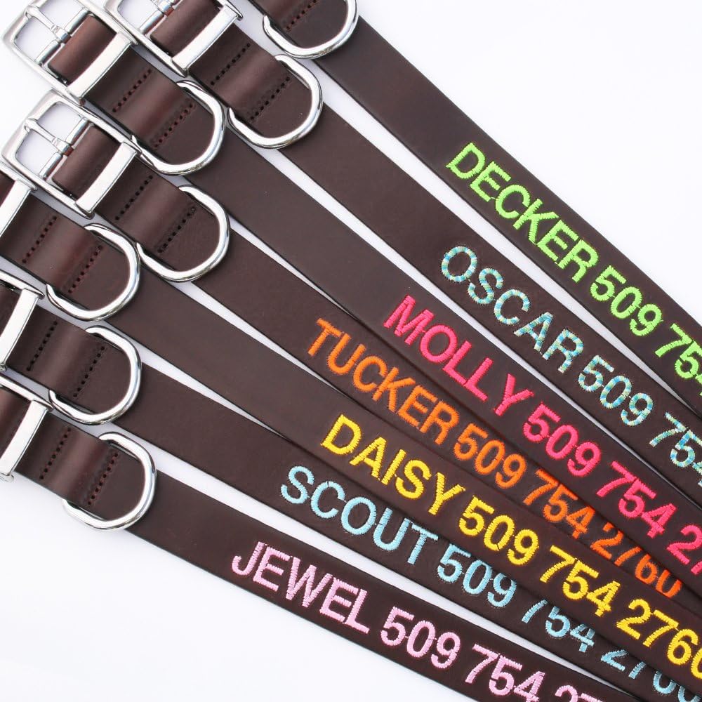gotags-embroidered-leather-dog-collar-with-name-and-phone-number image 3