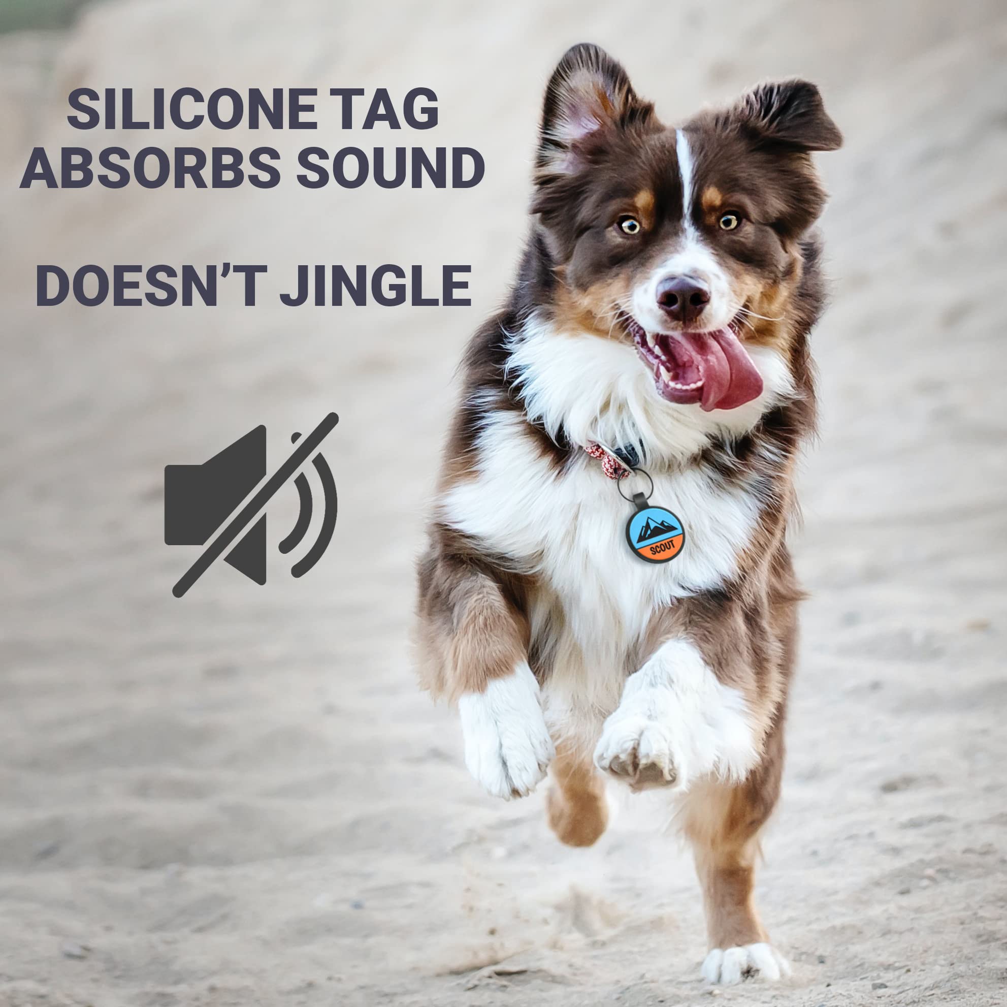 gotags-two-tone-silent-silicone-dog-id-tag image 7