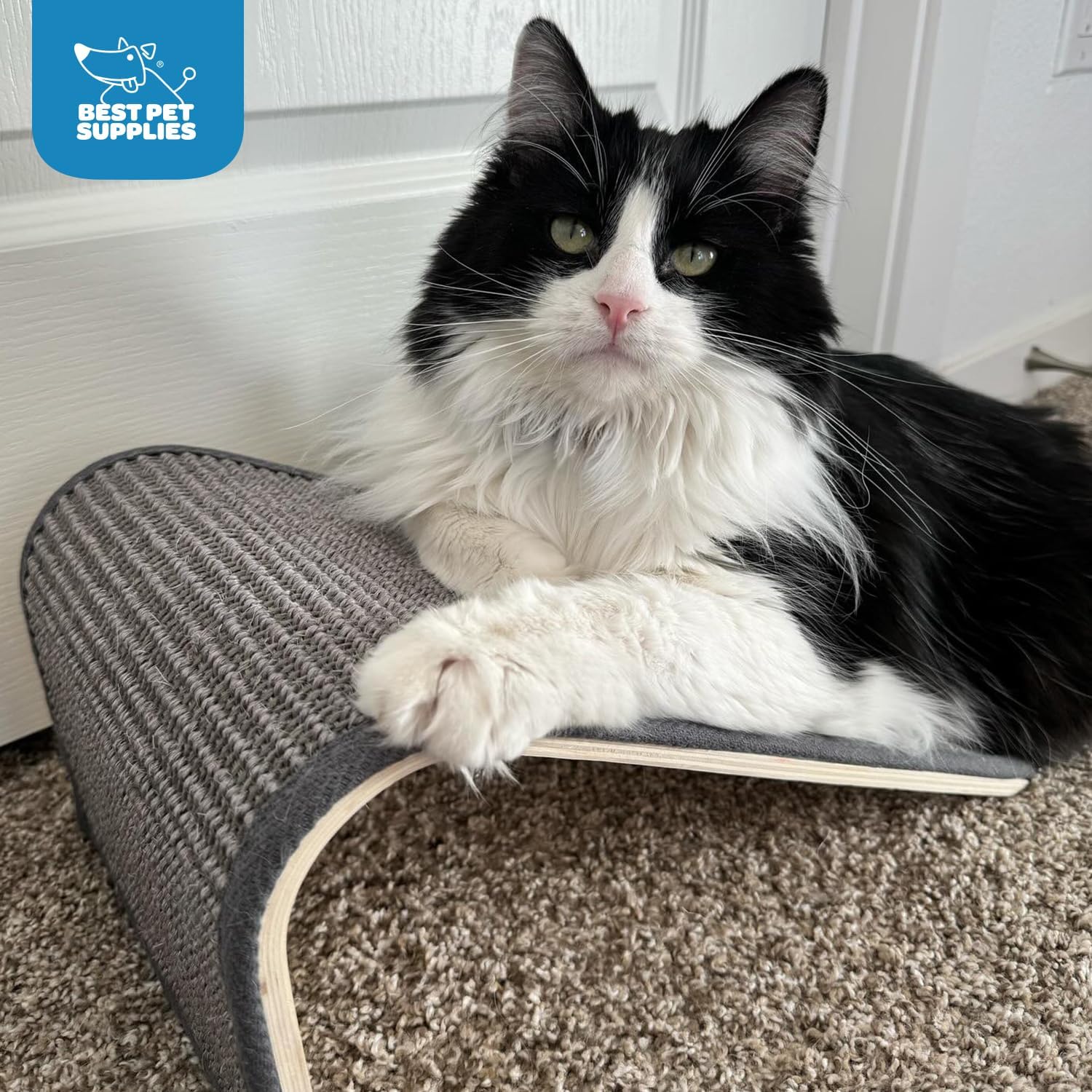 voyager-catify-sloped-sisal-cat-scratcher-climbing-ramp-and-scratcher-with-durab image 6
