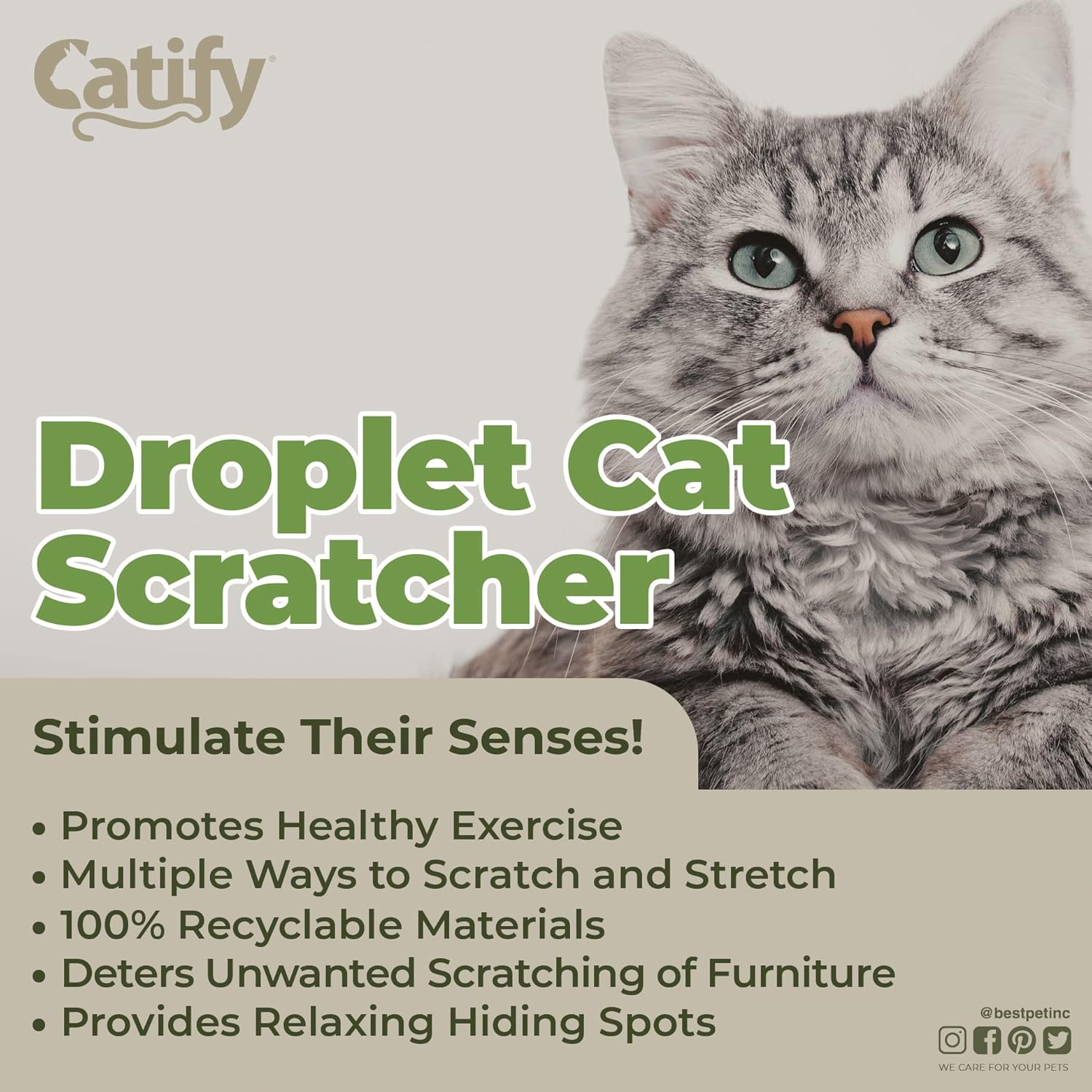 voyager-droplet-cat-scratcher image 3