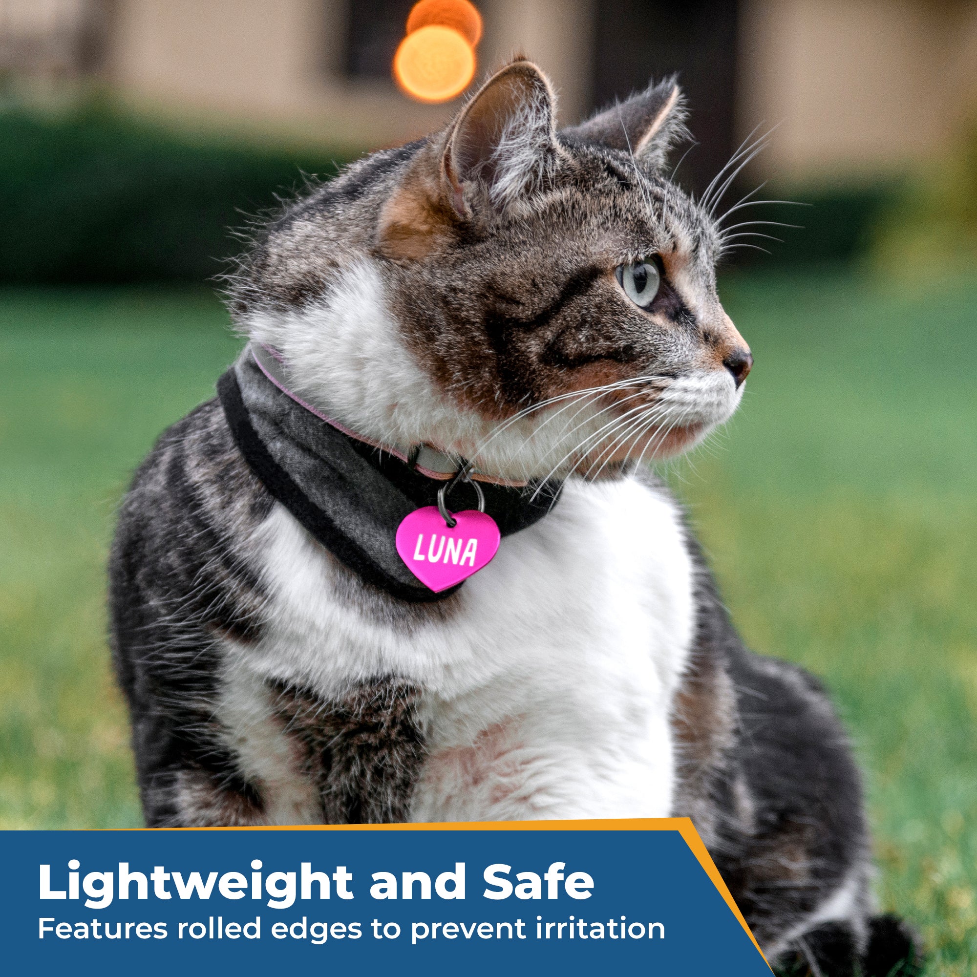 gotags-ranger-badge-pet-id-tag image 5