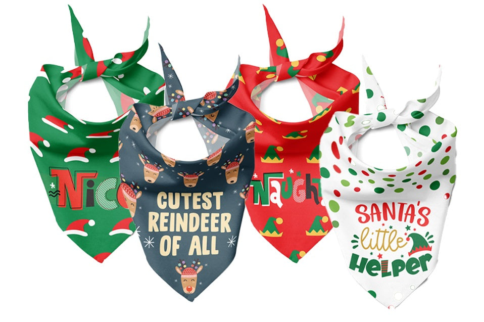 gotags-mystery-box-bandana-surprise-design-for-dogs image 1