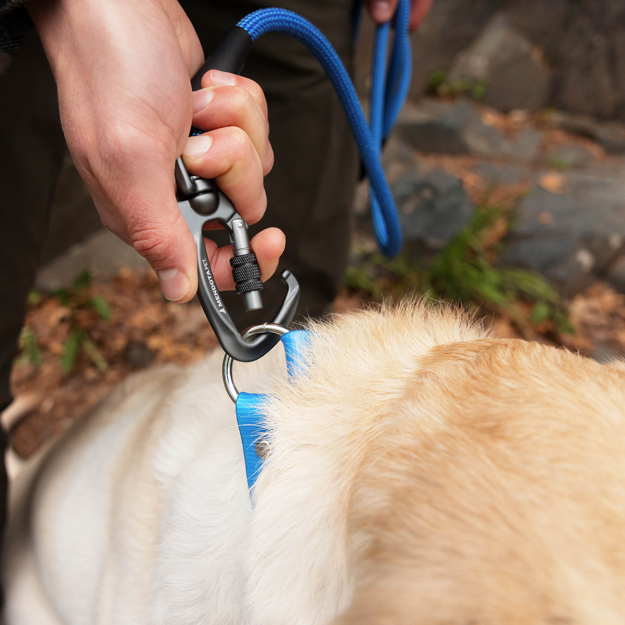 mendota-pet-elite-series-climbing-rope-dog-leash-5ft-10-5mm-with-custom-options image 3