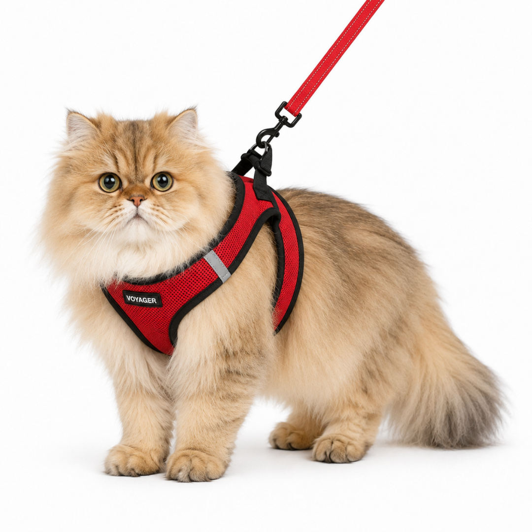 voyager-step-in-air-harness-leash-set-with-black-trim-for-cats-breathable-mesh-r image 2
