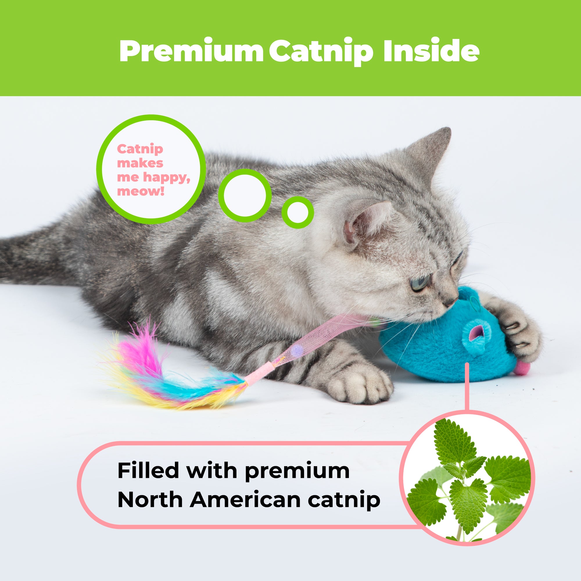voyager-catify-squeaking-mouse-interactive-cat-toy-with-catnip image 4
