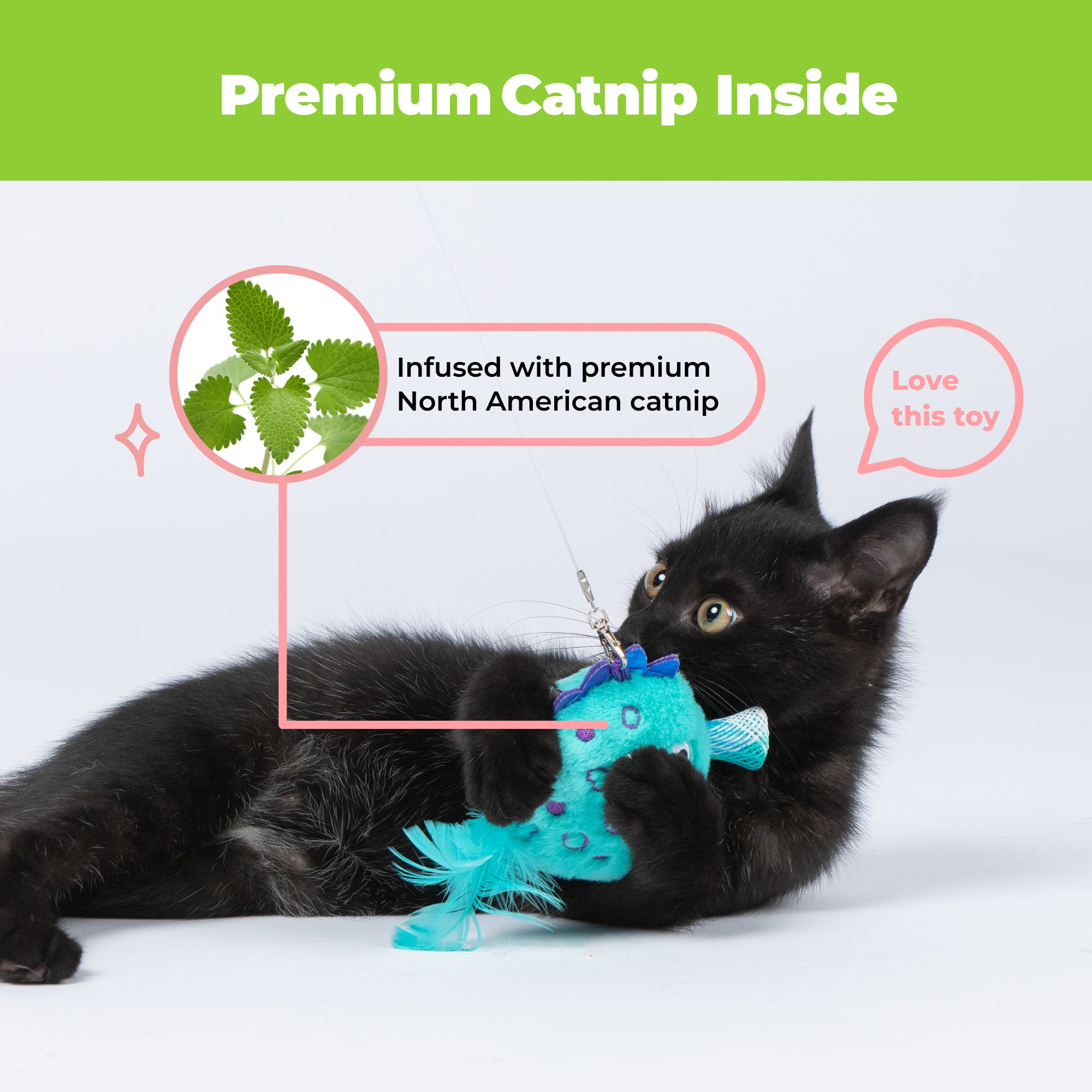 catify-fluffy-fish-cat-toy-premium-catnip-filled-plush-fish-set-for-interactive- image 3