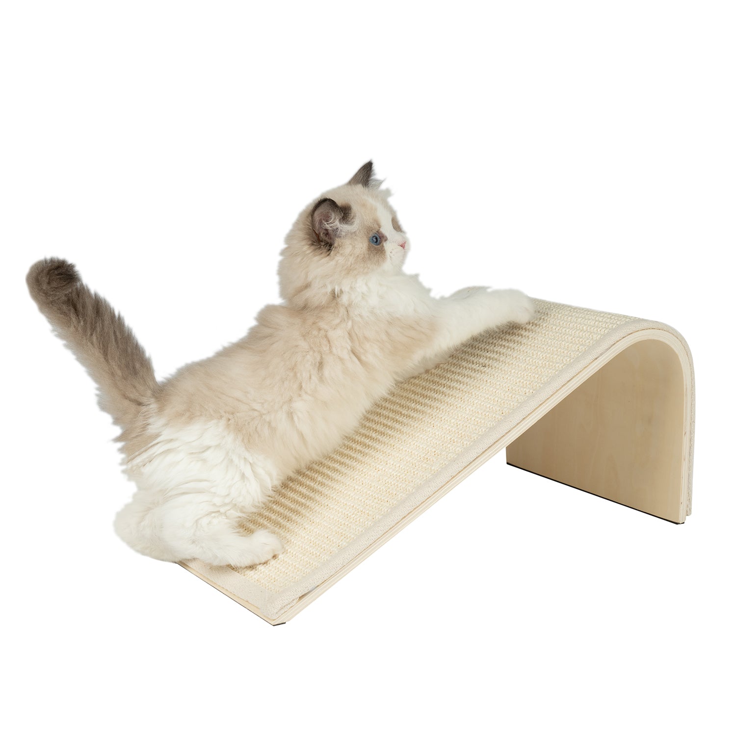 voyager-catify-sloped-sisal-cat-scratcher-climbing-ramp-and-scratcher-with-durab image 3