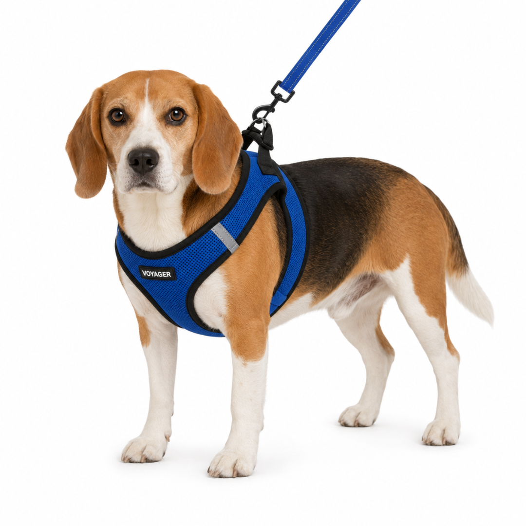 voyager-step-in-air-harness-leash-set-lightweight-mesh-with-premium-leash image 2