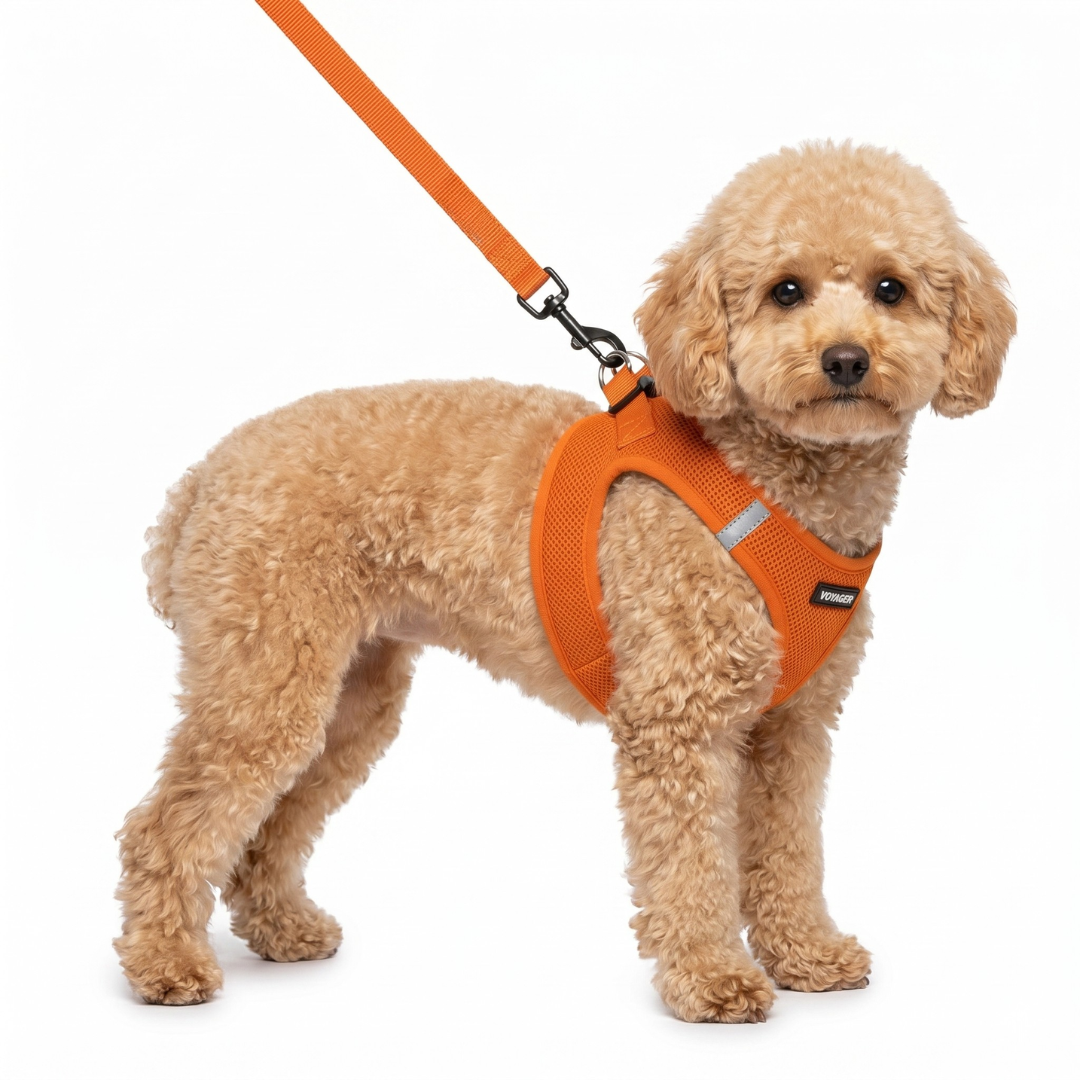 voyager-step-in-air-harness-leash-set-with-matching-trim-breathable-summer-mesh image 2