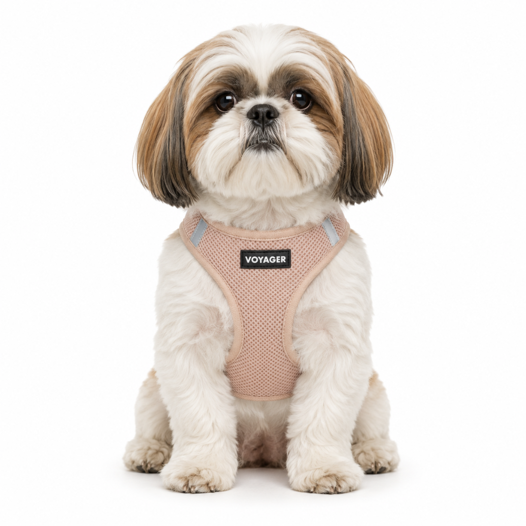 voyager-step-in-air-pet-harness-lightweight-breathable-mesh-with-matching-trim image 2
