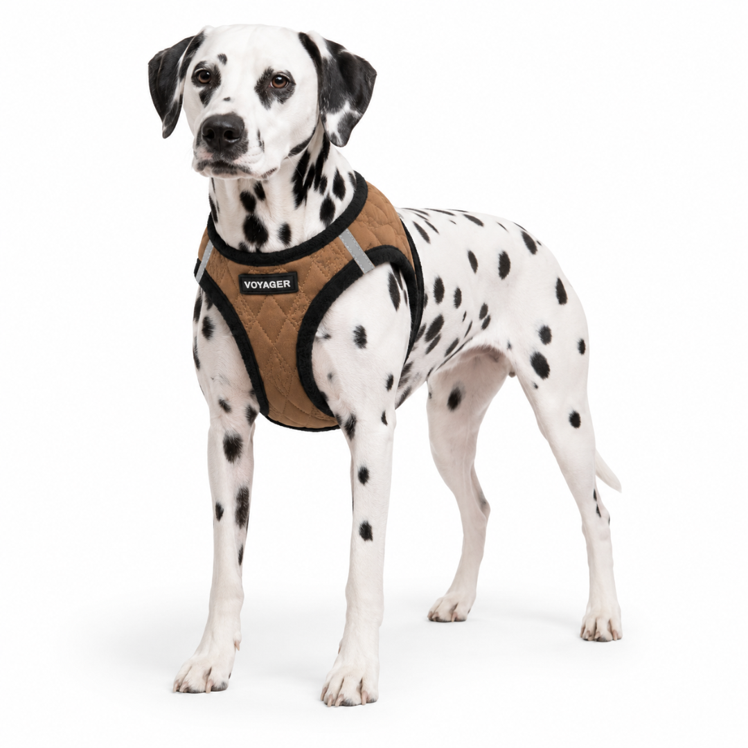voyager-step-in-plush-quilted-dog-harness-soft-warm-and-secure-with-reflective-t image 2