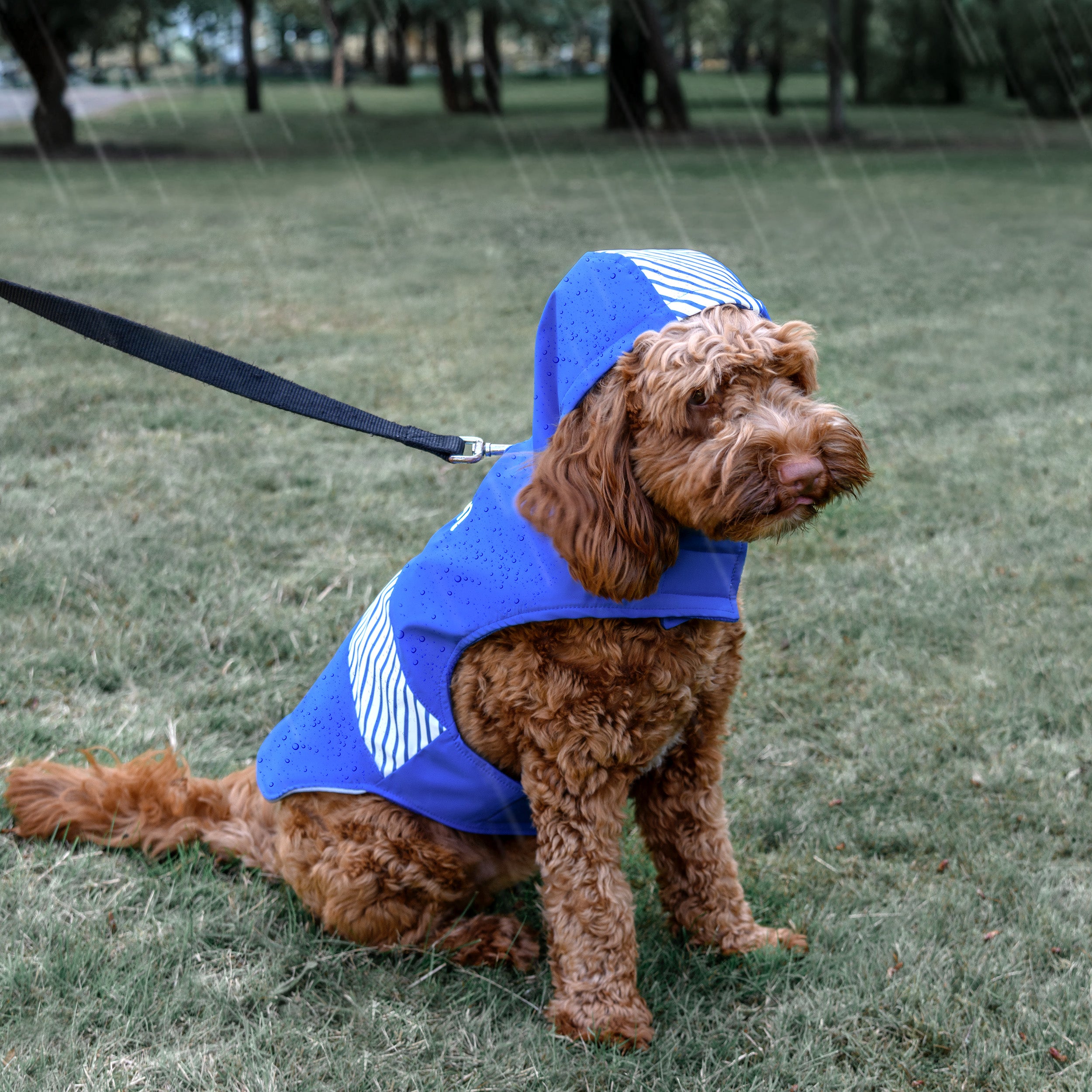 gotags-personalized-dog-raincoat-with-hood image 6