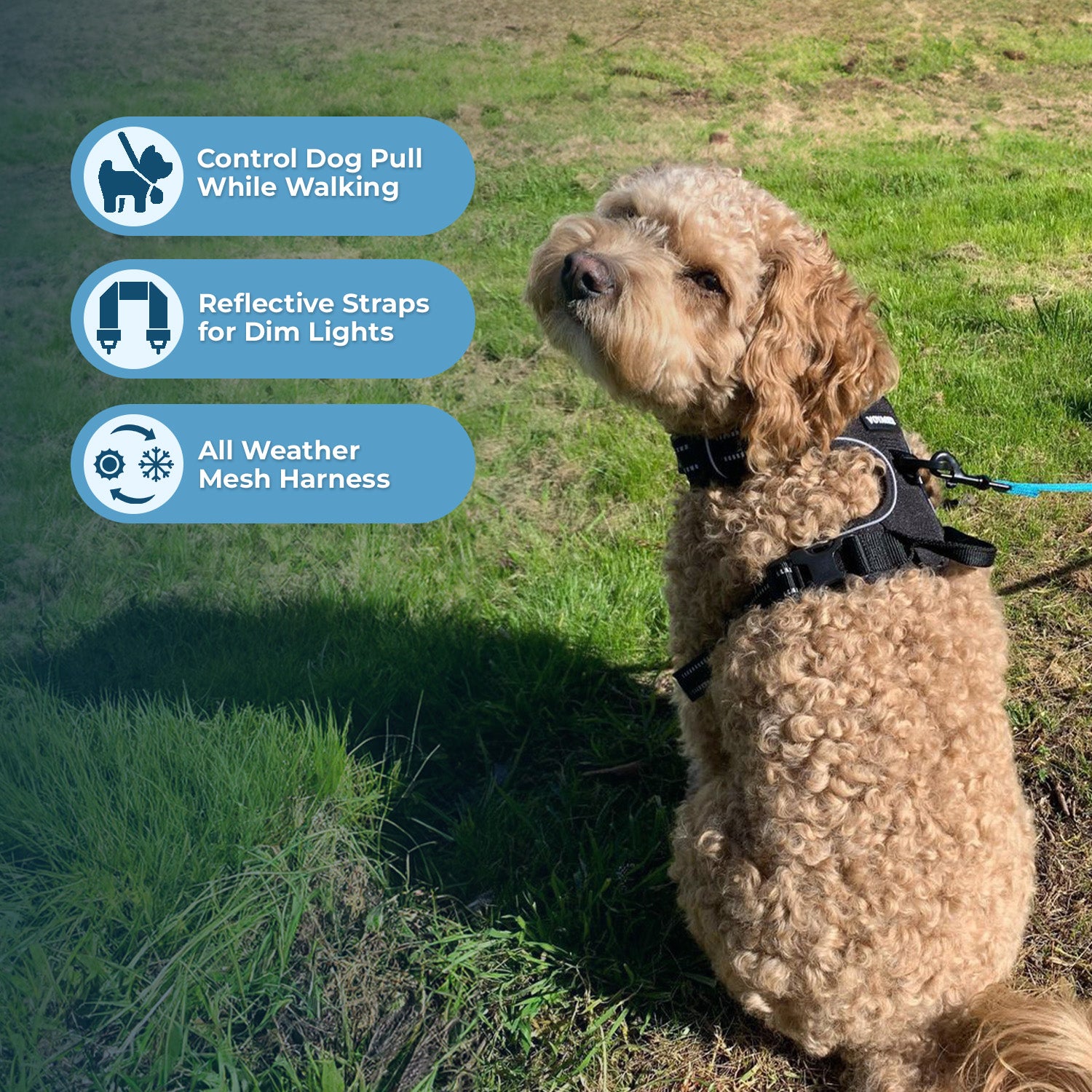 voyager-dual-attachment-dog-harness-leash-set-no-pull-control-with-front-and-bac image 3