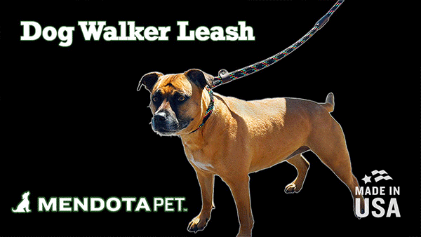 mendota-pet-dog-walker-large-1-2-inch-martingale-style-leash-and-collar-combo image 2