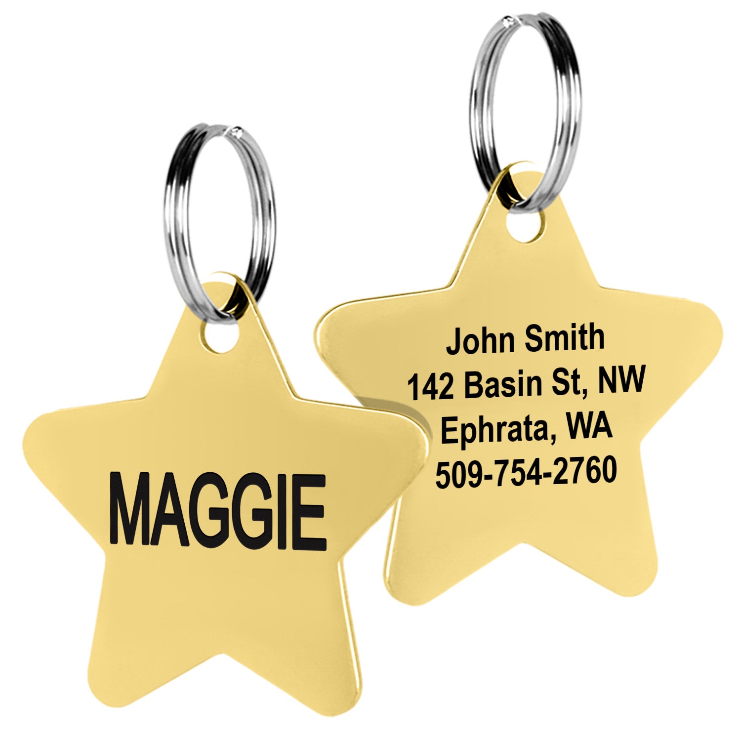 gotags-star-pet-id-tag-stainless-steel image 5