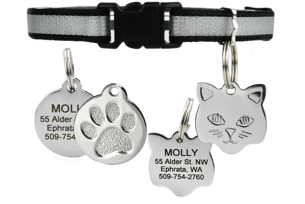 gotags-reflective-cat-collar-with-stainless-steel-id-tag-breakaway-buckle image 5