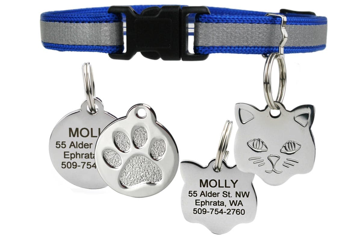gotags-reflective-cat-collar-with-stainless-steel-id-tag-breakaway-buckle image 4