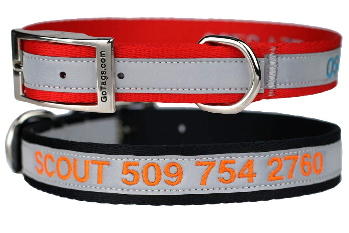 gotags-personalized-embroidered-reflective-dog-collar-nylon-metal-buckle-silent- image 4