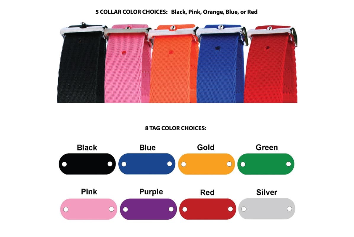 gotags-dog-collar-with-personalized-rivet-on-nameplate-silent-id image 2