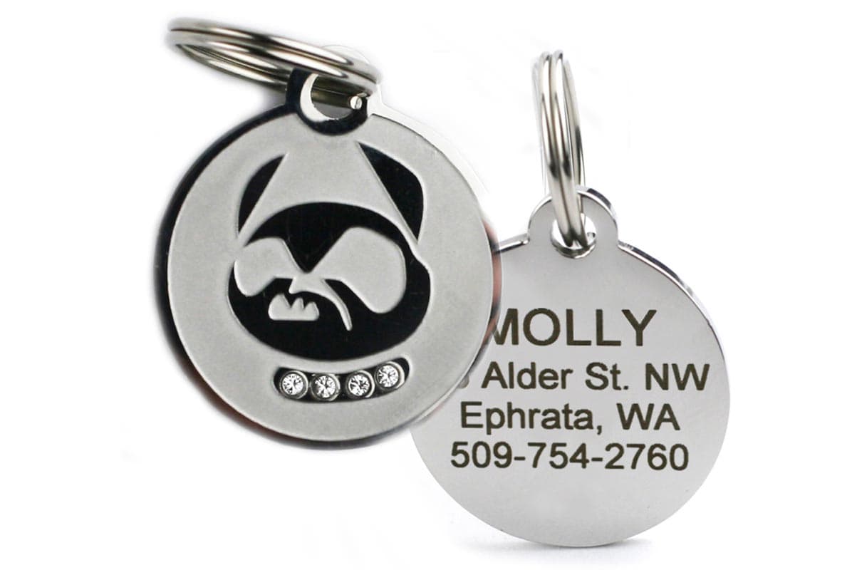 gotags-swarovski-crystal-dog-tag-in-stainless-steel image 1