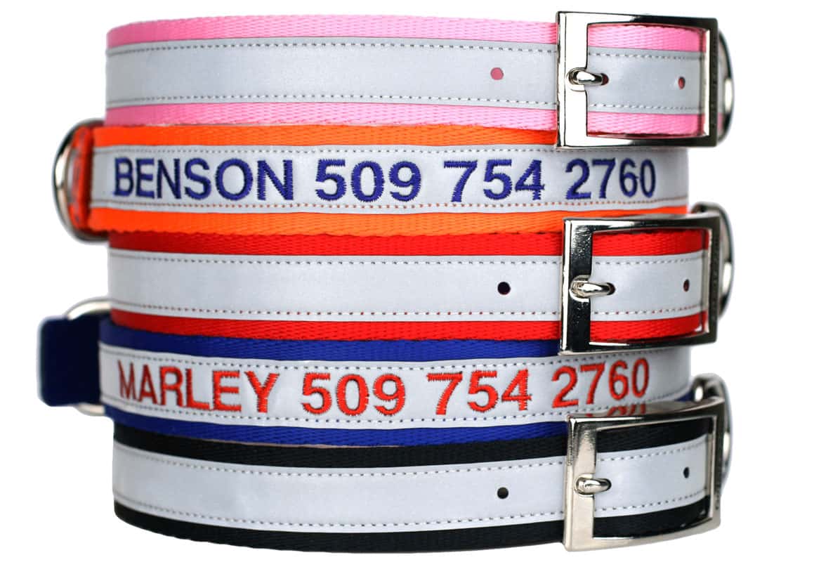 gotags-personalized-embroidered-reflective-dog-collar-nylon-metal-buckle-silent- image 1