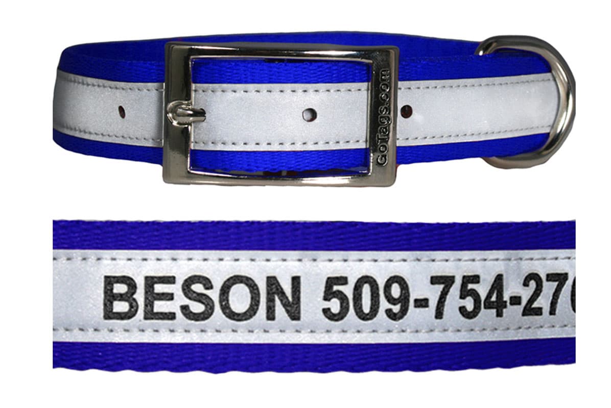 gotags-personalized-engraved-reflective-dog-collar-with-metal-buckle image 1