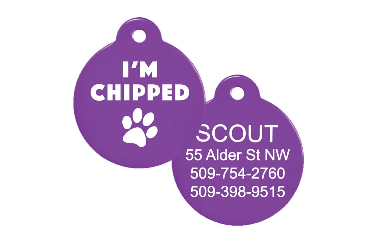 gotags-i-m-chipped-pet-id-tag-with-silencer-aluminum-custom-engraved image 2