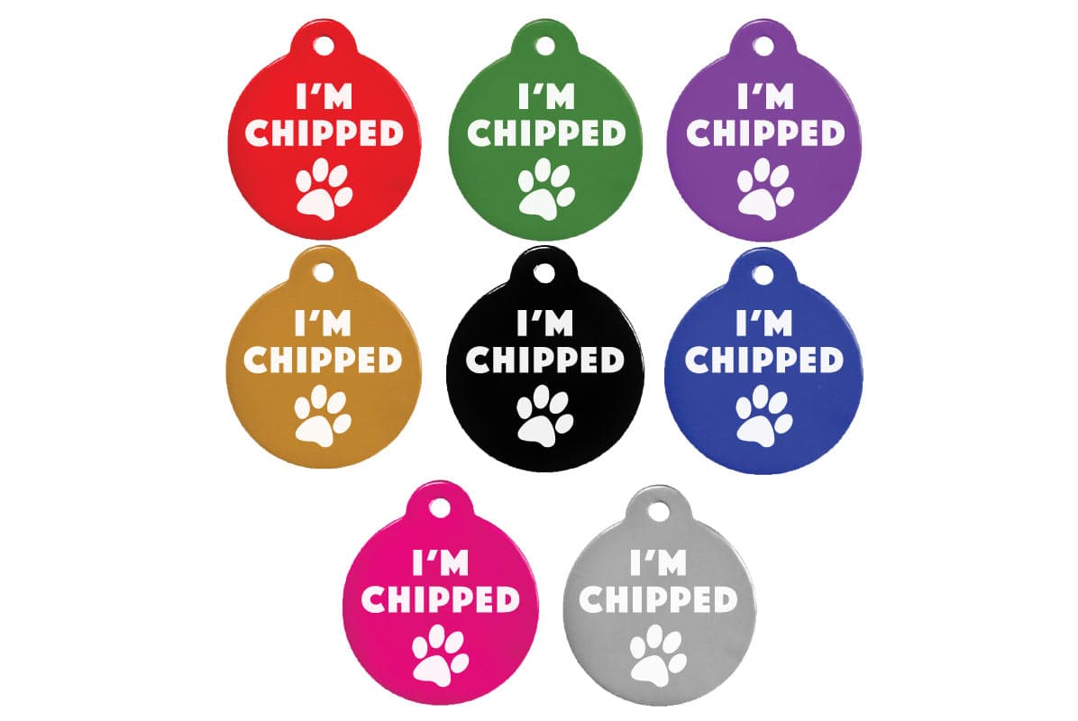gotags-i-m-chipped-pet-id-tag-with-silencer-aluminum-custom-engraved image 3